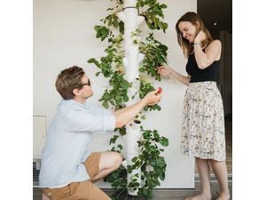 Gusta Garden SISSI STRAWBERRY nástenný držiak