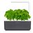 Click and Grow Smart Garden 3 smart plantážnik + 3ks kapsúl so semienkami bazalky, sivá