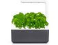 Click and Grow Smart Garden 3 smart plantážnik + 3ks kapsúl so semienkami bazalky, sivá