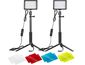 Neewer sada fotosvětel, 66/66 LED, 2x 10W