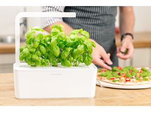 Click and Grow Smart Garden 3 smart plantážnik + 3ks kapsúl so semienkami bazalky, béžová