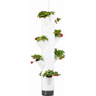 Gusta Garden SISSI STRAWBERRY závesná súprava