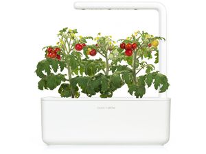 Click and Grow mini paradajky, kapsule so semienkami a substrátom 3ks