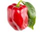 Click and Grow Červená paprika, sladká, kapsule so semienkami a substrátom 3ks
