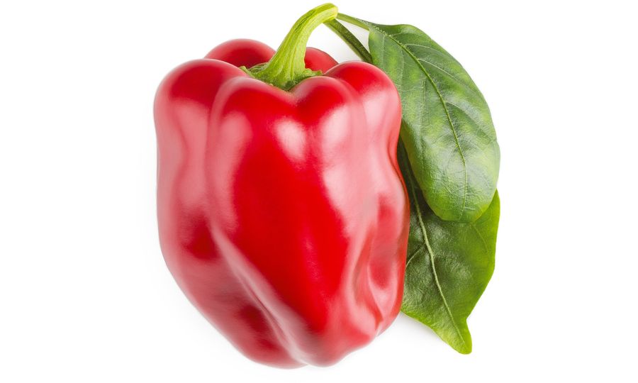 Click and Grow Červená paprika, sladká, kapsule so semienkami a substrátom 3ks