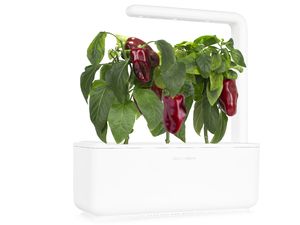 Click and Grow Červená paprika, sladká, kapsule so semienkami a substrátom 3ks