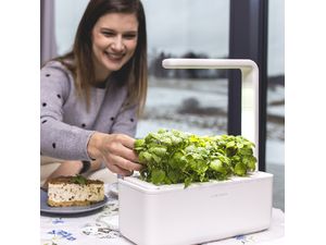 Click and Grow Smart Garden 3 smart plantážnik + 3ks kapsúl so semienkami bazalky, béžová
