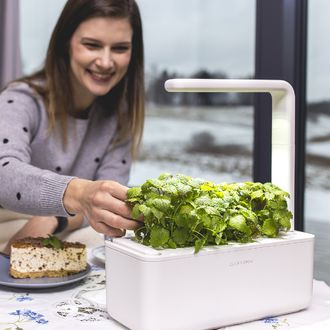 Click and Grow Smart Garden 3 smart plantážnik + 3ks kapsúl so semienkami bazalky, béžová