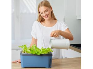 Gusta Garden HARRY HERBS hydroponické zátky, 8ks