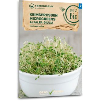 Gusta Garden microgreens Alfalfa 